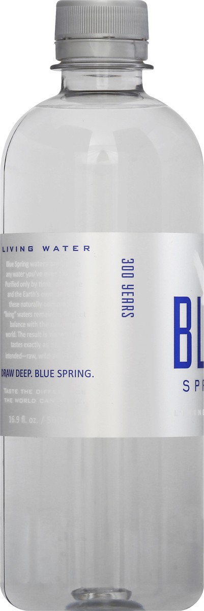 slide 7 of 9, Blue Spring Alabama Water, 500 ml