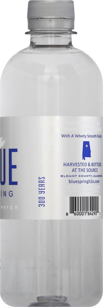 slide 8 of 9, Blue Spring Alabama Water, 500 ml