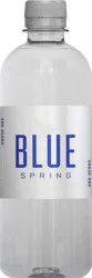 Blue Spring Alabama Water - 500 ml