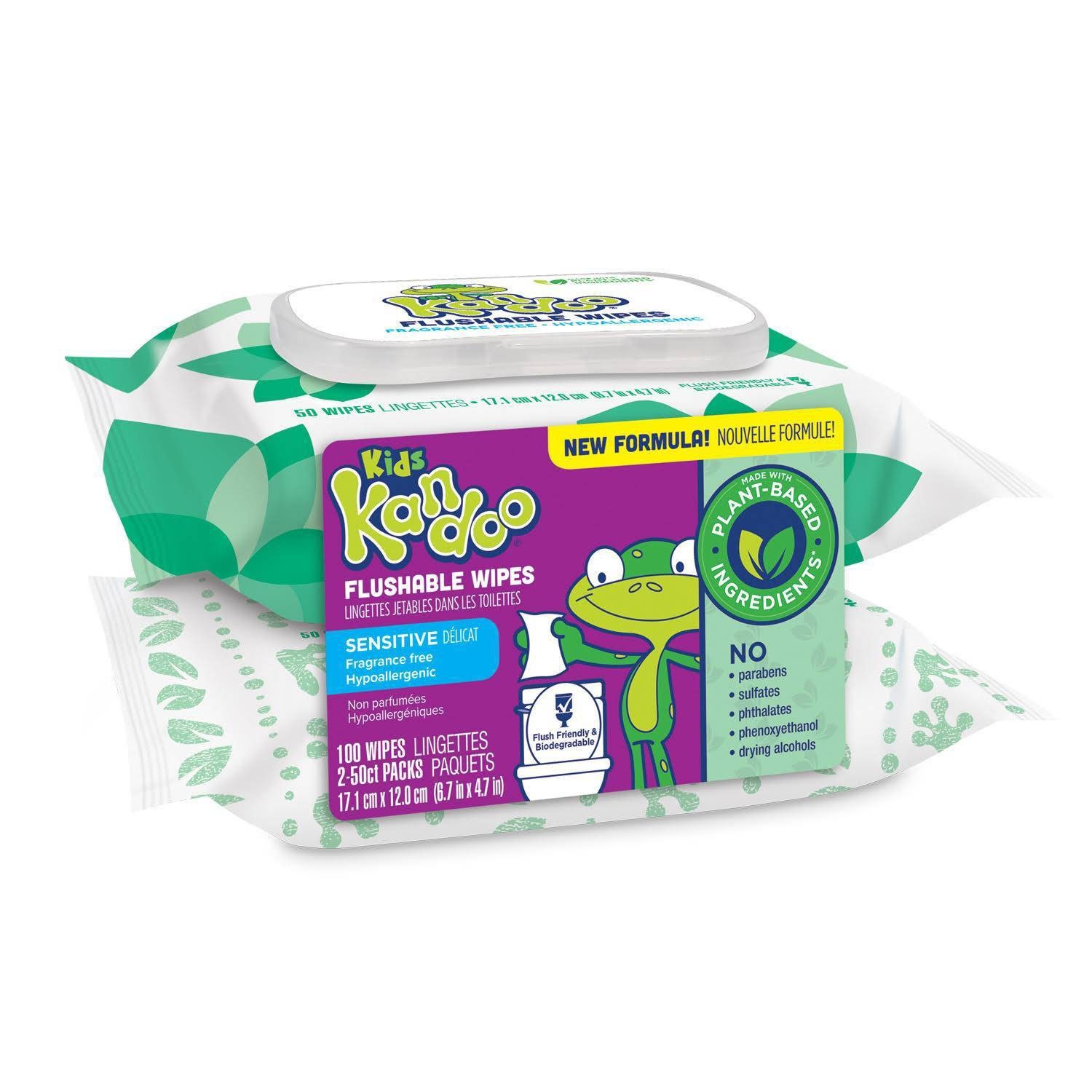 slide 1 of 7, Kandoo Flushable Wipes with Flip Top - 100ct, 100 ct