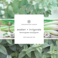 slide 3 of 4, Chesapeake Bay Candle Mind & Body Collection Awake + Invigorate: Lemongrass Eucalyptus, 11 oz