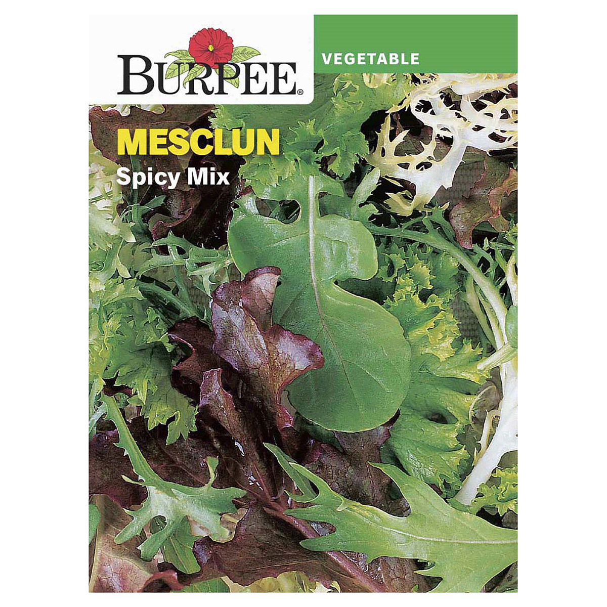 slide 1 of 5, Burpee Mesclun Spicy Mix Seeds, 1 ct