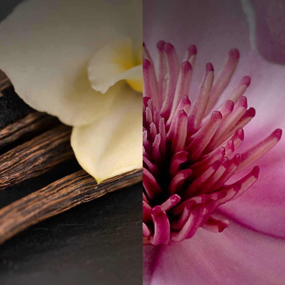 slide 4 of 8, Air Wick Airwick Botanica Scented Oil Kit Himalayan Magnolia & Vanilla, 1 ct