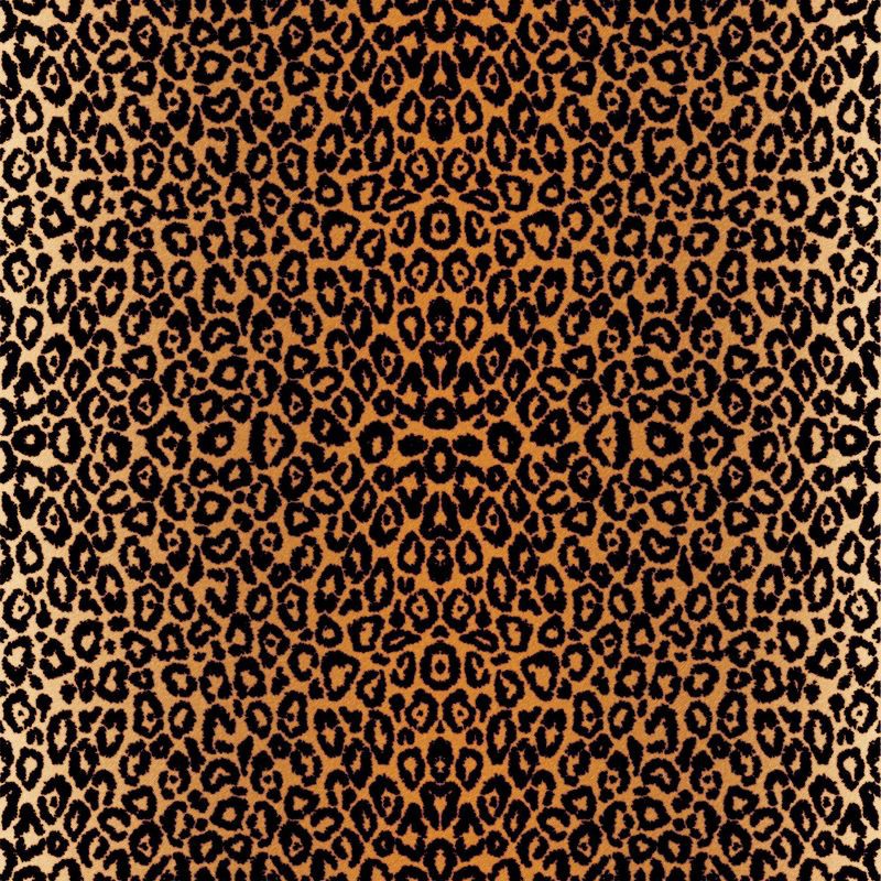 slide 6 of 6, Cricut 2pk Infusible Ink Transfer Sheets - Leopard, 2 ct