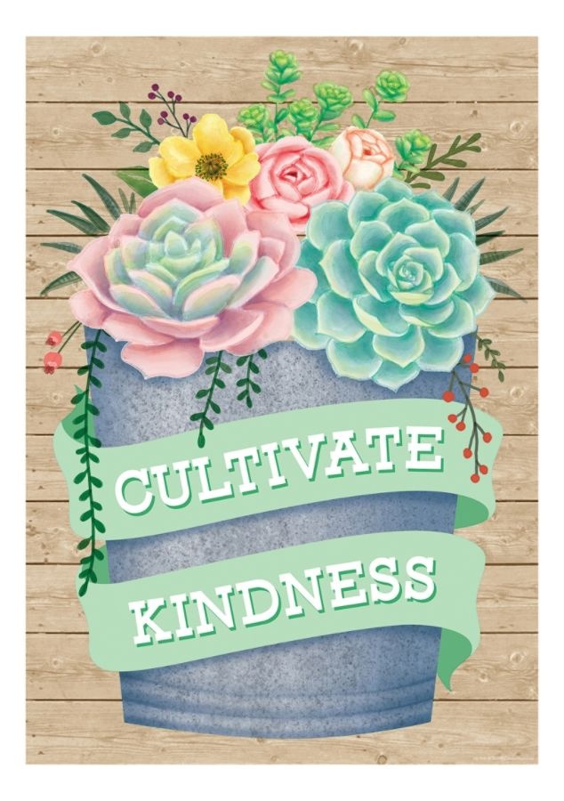 slide 5 of 5, Teacher Created Resources Positive Posters, 13-3/8'' X 19'', Rustic, Pack Of 4 Posters, 4 ct