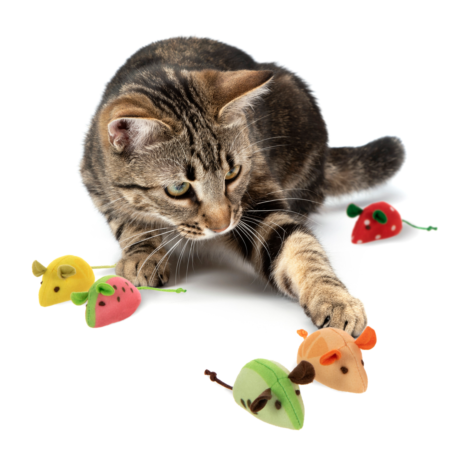 slide 4 of 4, SmartyKat Skitter Slices Cat Toy, 1 ct