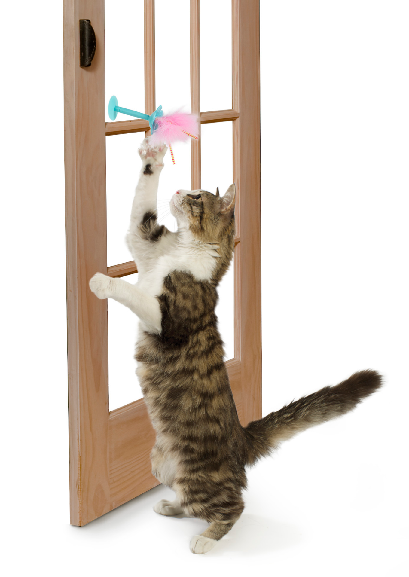 slide 2 of 4, Smartykat Window Wobbler Cat Toy, 1 ct
