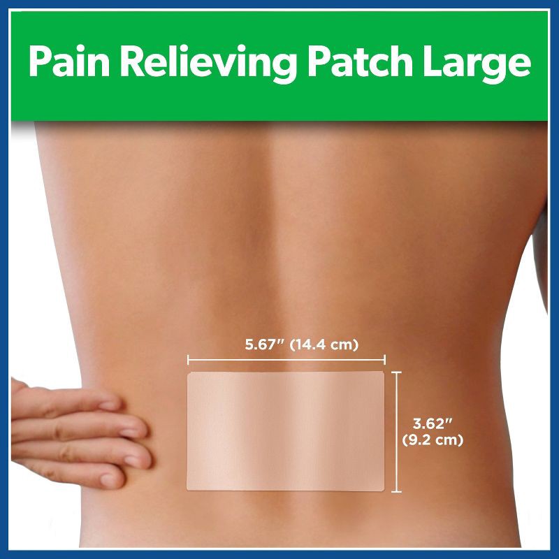 slide 3 of 7, Salonpas Large Size Pain Relieving Patch - 8 Hour Pain Relief - 6ct, 6 ct