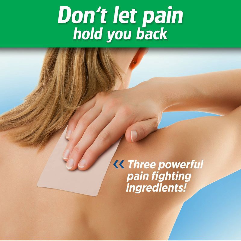 slide 5 of 6, Salonpas Large Size Pain Relieving Patch - 8 Hour Pain Relief - 6ct, 6 ct