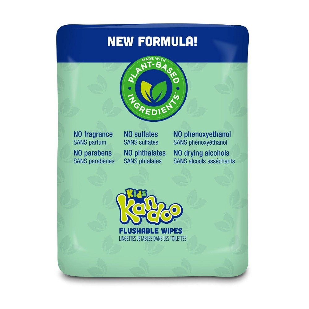 slide 4 of 8, Kandoo Flushable Wipes with Flip Top - 200ct, 200 ct