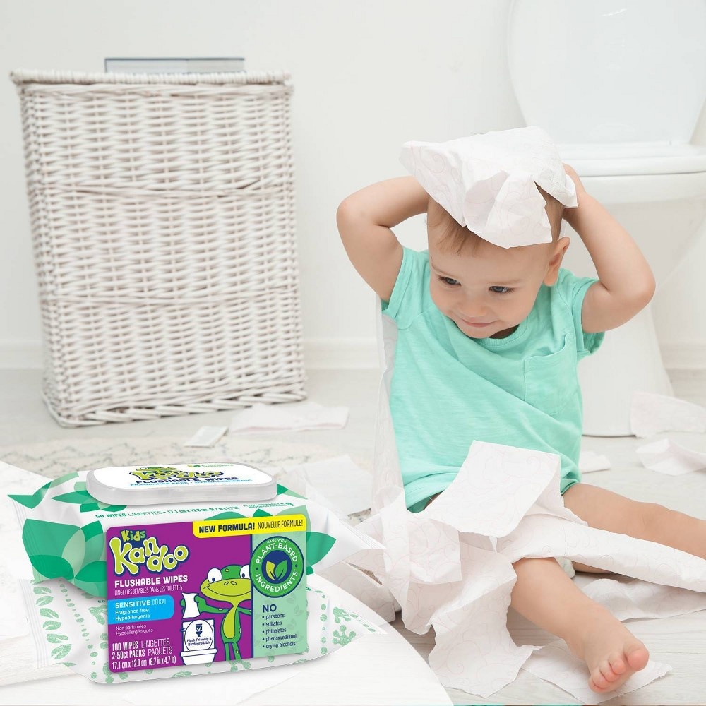 slide 6 of 7, Kandoo Flushable Wipes with Flip Top - 100ct, 100 ct