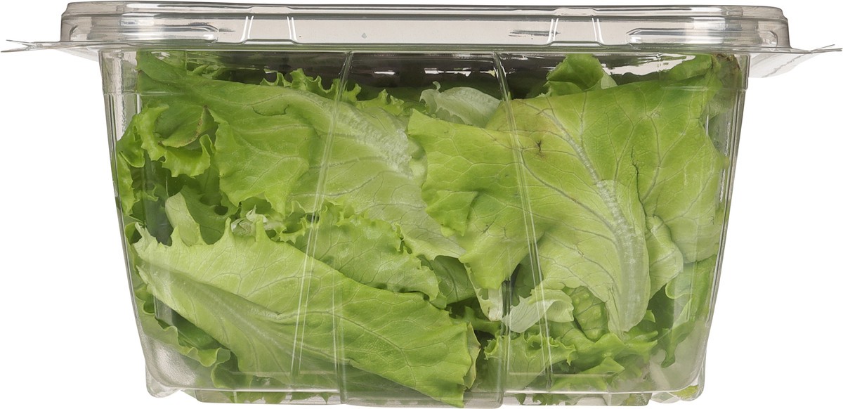 slide 12 of 12, Little Leaf Farms Sweet Baby Butter Leaf 8 oz, 8 oz