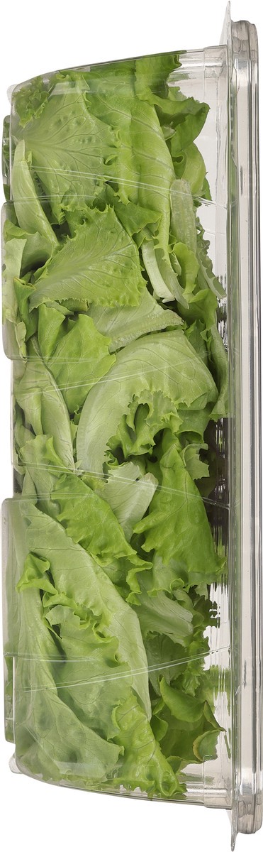 slide 6 of 12, Little Leaf Farms Sweet Baby Butter Leaf 8 oz, 8 oz