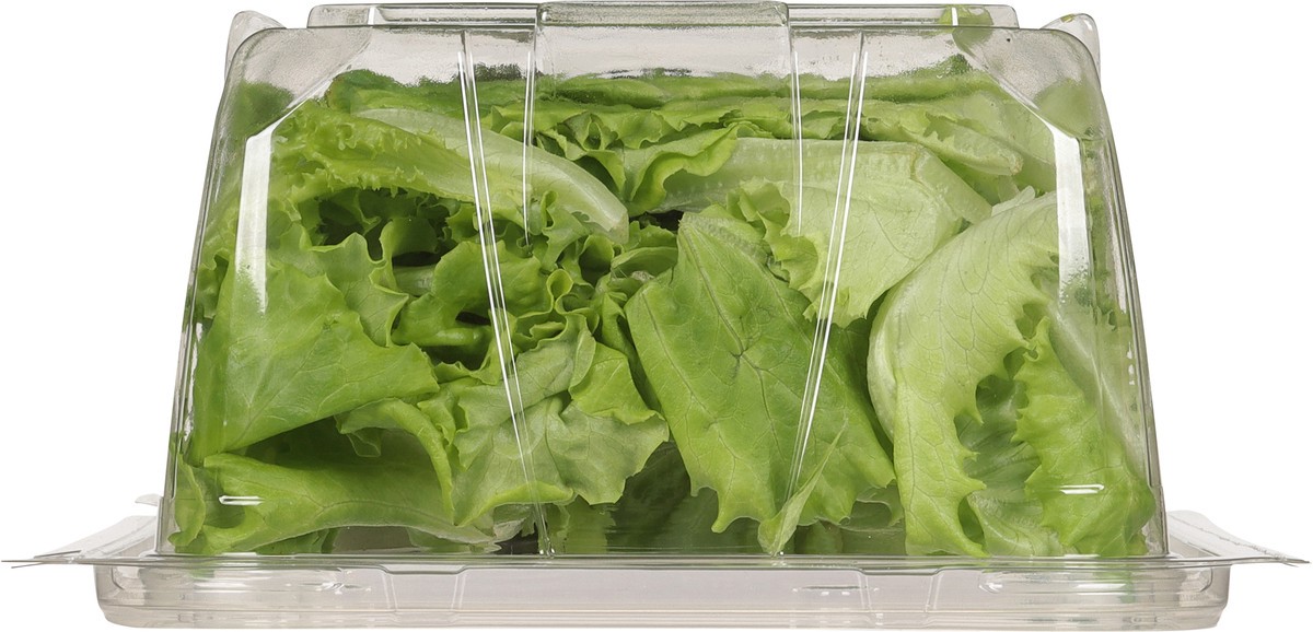 slide 8 of 12, Little Leaf Farms Sweet Baby Butter Leaf 8 oz, 8 oz