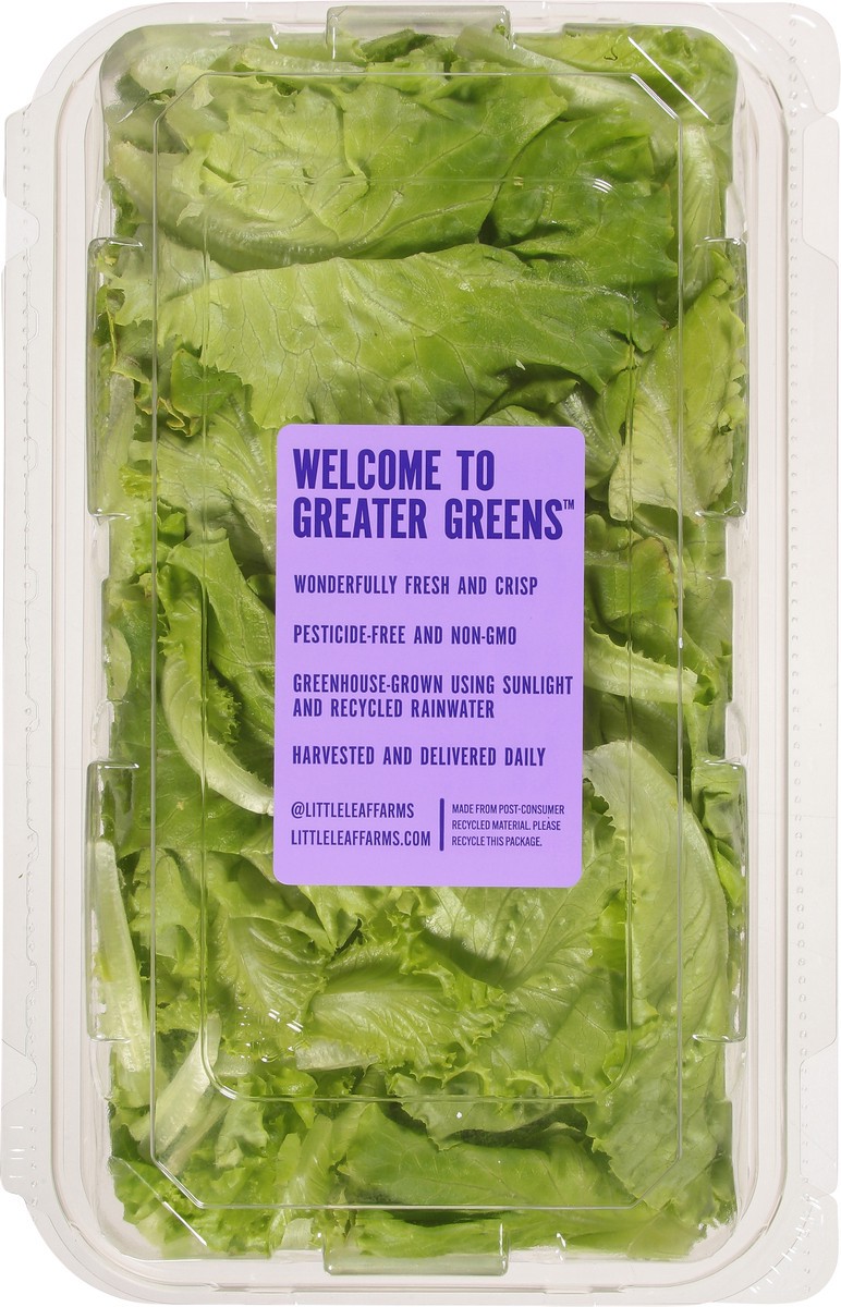 slide 4 of 12, Little Leaf Farms Sweet Baby Butter Leaf 8 oz, 8 oz