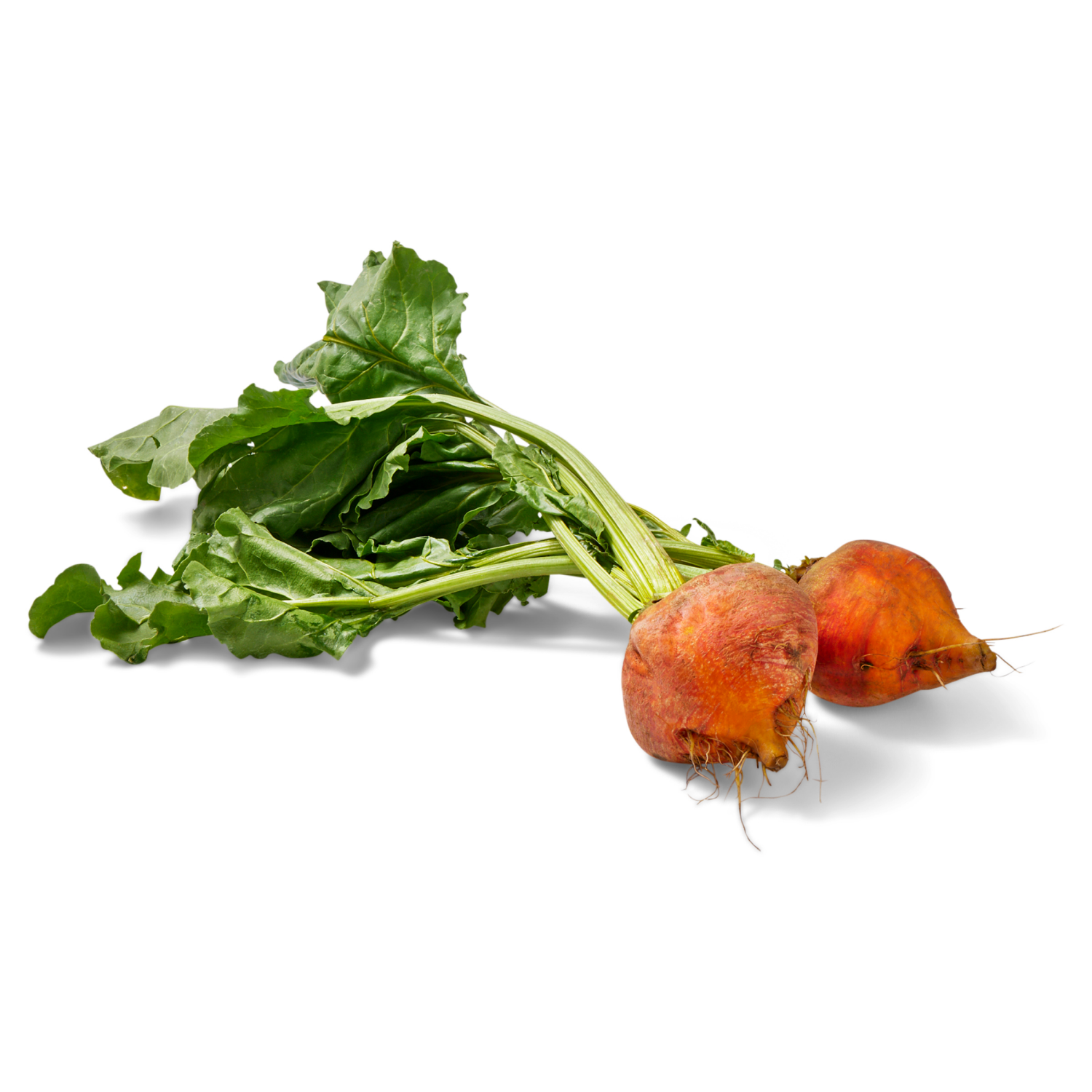 slide 2 of 3, Foxy Organic Gold Beets, organic, 1 ct