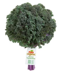 Northgate Organic Red Kale