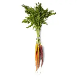 Organic Rainbow Carrots, bunch