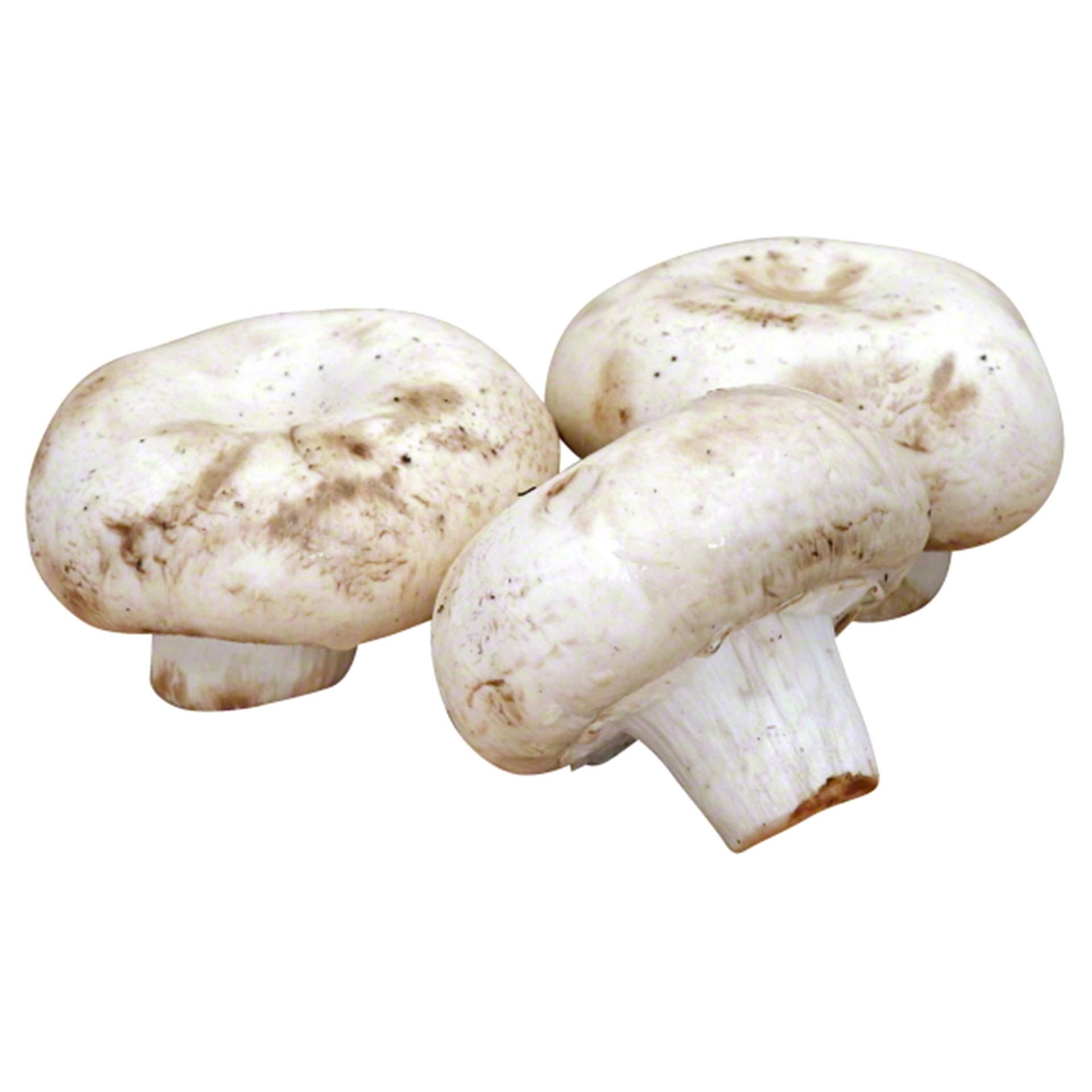 slide 1 of 1, Mother Earth Mr.Mushroom Mushrooms White, 8 oz