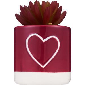 slide 1 of 1, RED AND PINK Succulents, 1 ct