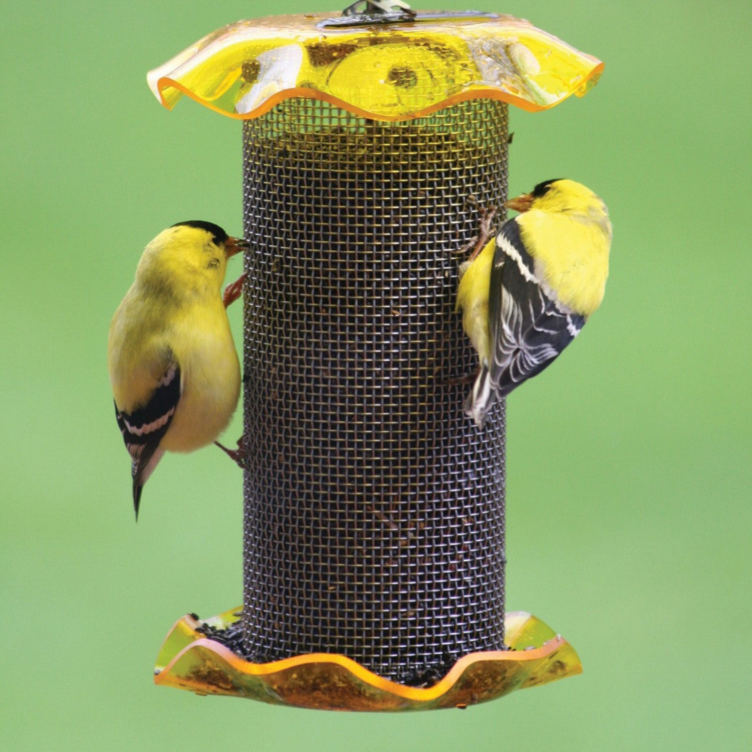 slide 2 of 2, BIRDS CHOICE Bird's Choice Finch Screen Feeder, 1 ct