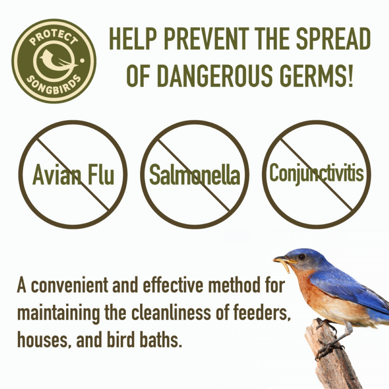 slide 2 of 2, BIRDS CHOICE Bird's Choice Bird Feeder Disinfectant, 32 oz