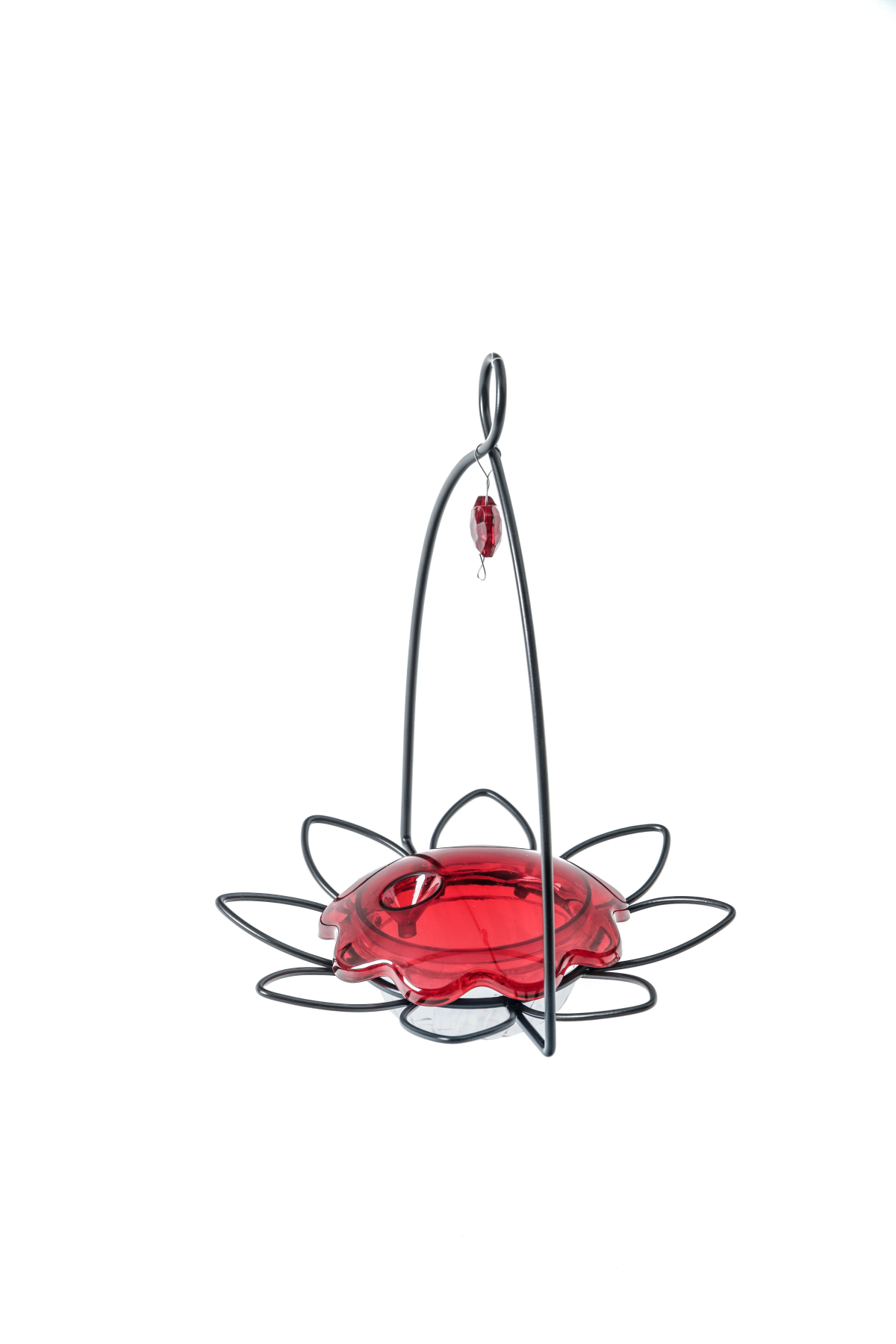 slide 2 of 4, BIRDS CHOICE Bird's Choice Hummingbird Flower Feeder, 3 oz