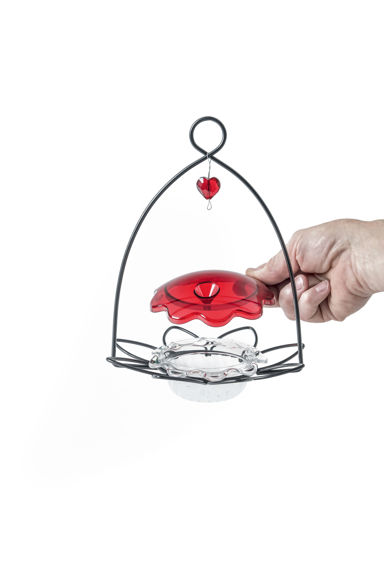 slide 4 of 4, BIRDS CHOICE Bird's Choice Hummingbird Flower Feeder, 3 oz