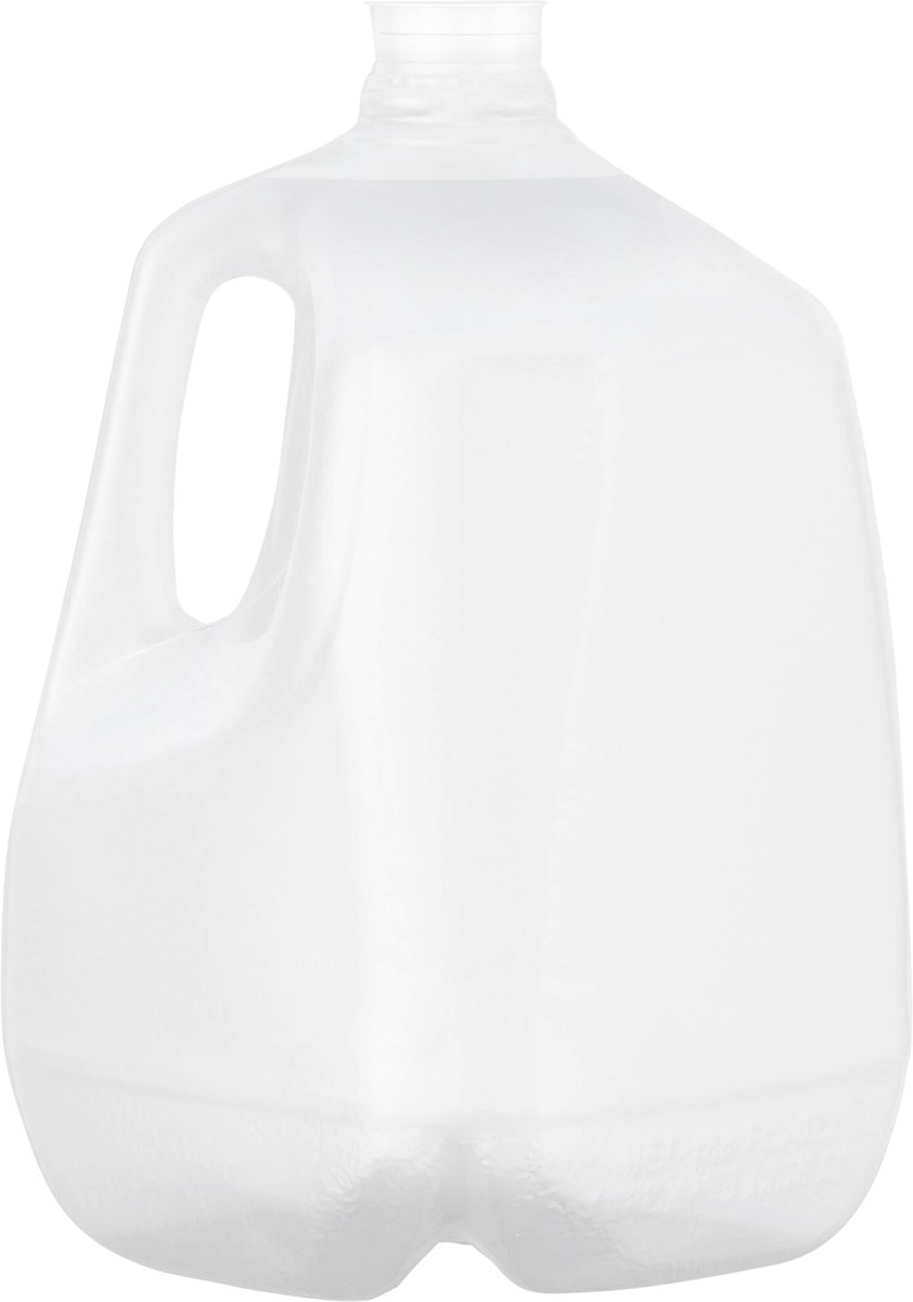 slide 5 of 7, POLAND SPRING Brand 100% Natural Spring Water, 1-gallon plastic jug, 1 gal