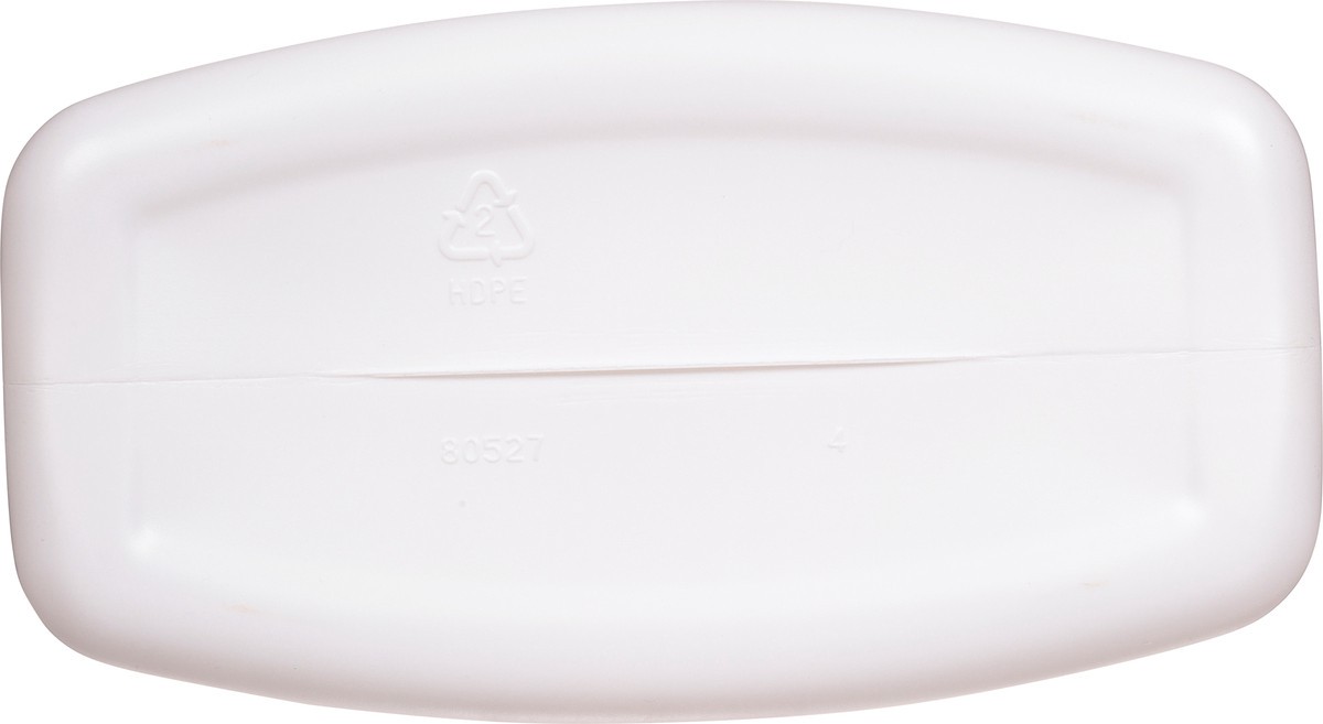 slide 12 of 12, Cb24 First Street Extraction Carpet Cleaner, 1 gal