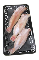 Fresh Farm Raised Whole Catfish