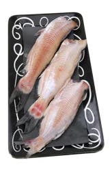 Fresh Farm Raised Whole Catfish