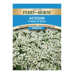 Ferry Morse Dahlia