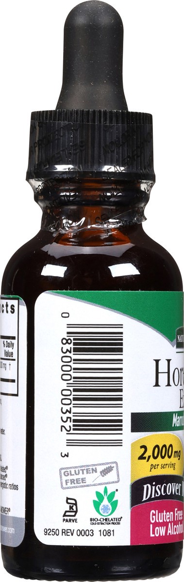 slide 5 of 9, Nature's Answer 2000 mg Horehound Extract 1 fl oz, 1 fl oz
