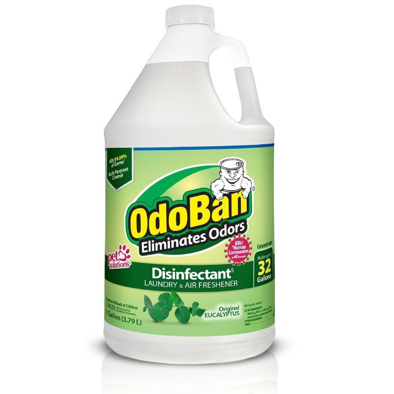 slide 1 of 1, Odoban Eucalyptus Concentrate Disinfectant, 1 gal