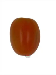Tomato Plum