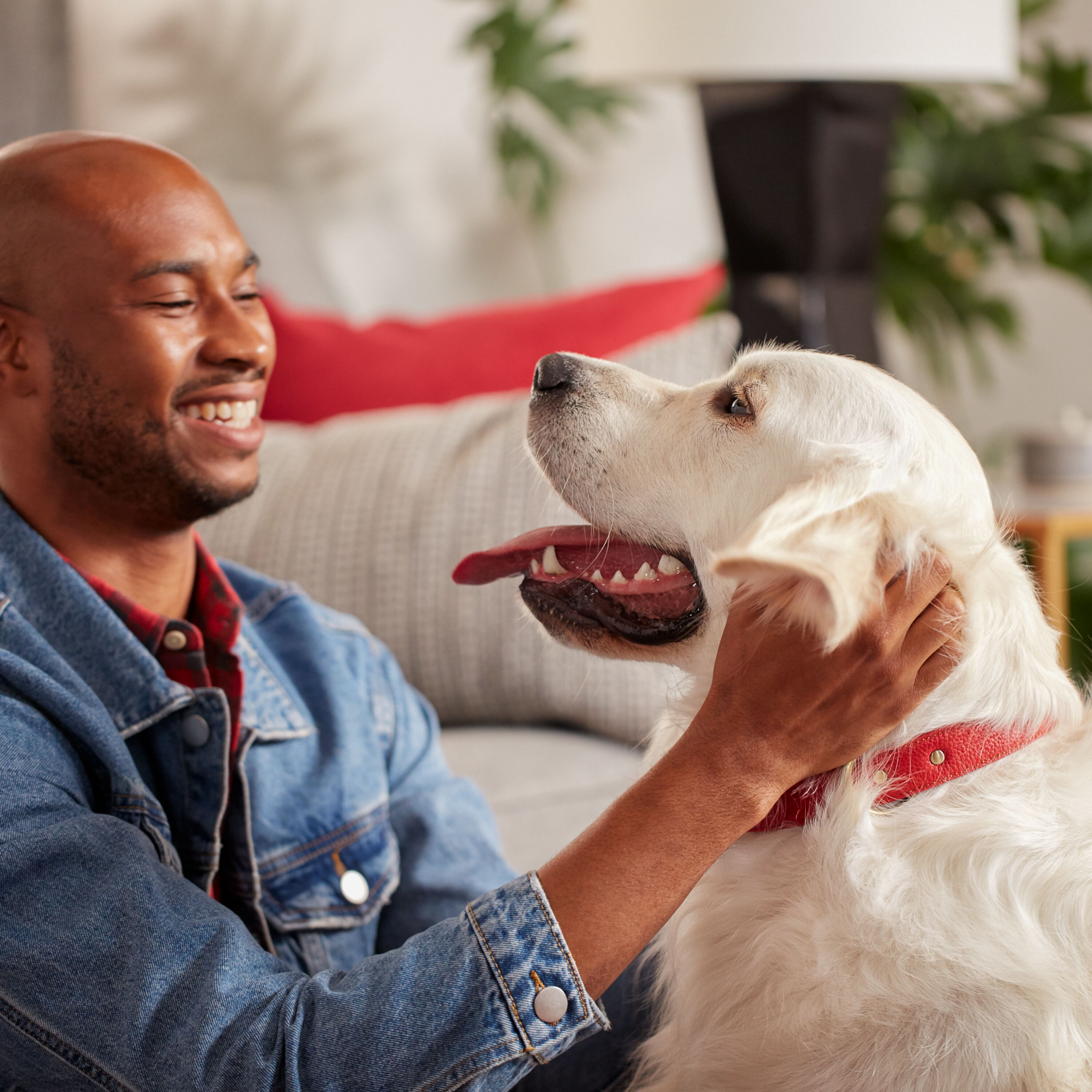 slide 7 of 8, Milk-Bone Dog Treat, Peanut Butter, 24 oz