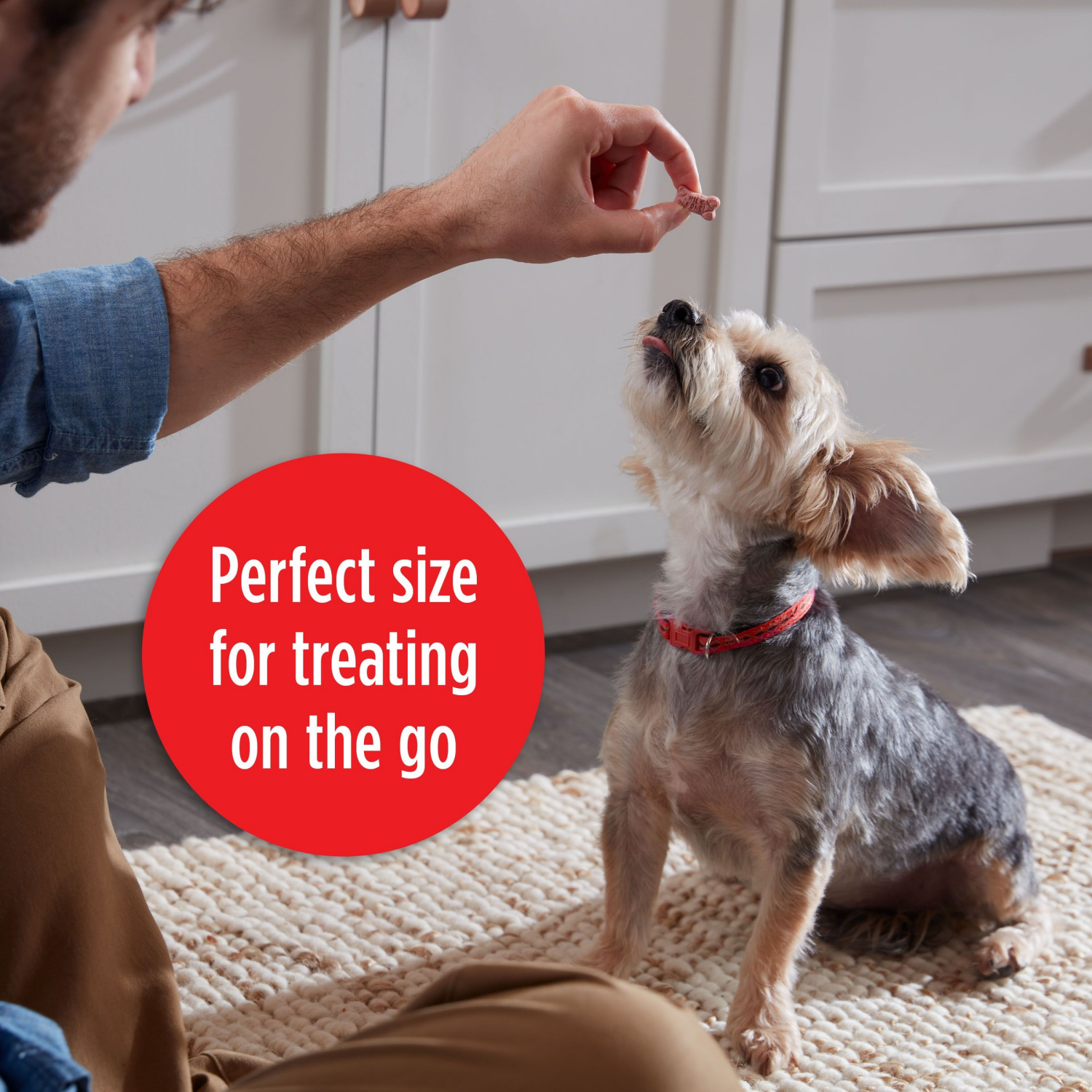 slide 2 of 7, Milk-Bone Flavor Snacks Mini Dog Biscuits, 2.5 oz. Bag, 2.50 oz