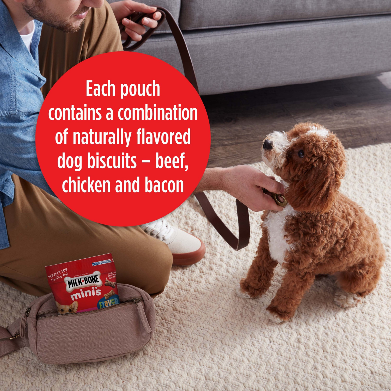 slide 4 of 7, Milk-Bone Flavor Snacks Mini Dog Biscuits, 2.5 oz. Bag, 2.50 oz