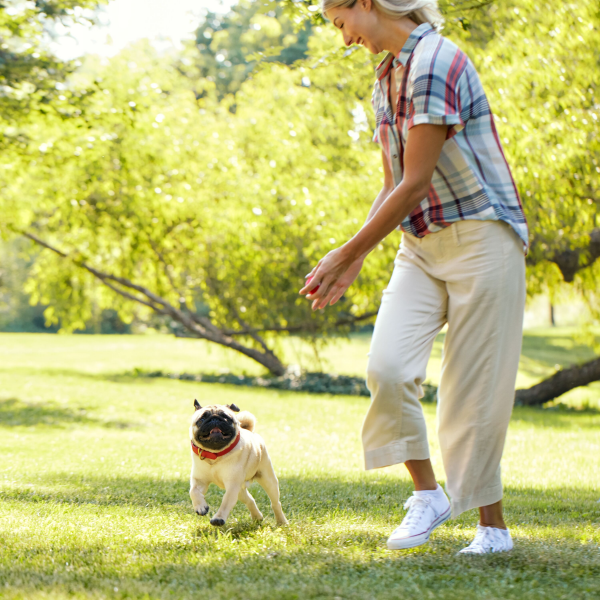 slide 8 of 25, Milk-Bone GnawBones Rawhide Free Dog Chews With Real Chicken, Long-Lasting Dog Treats, Small/Medium, Bag of 5, 5 ct