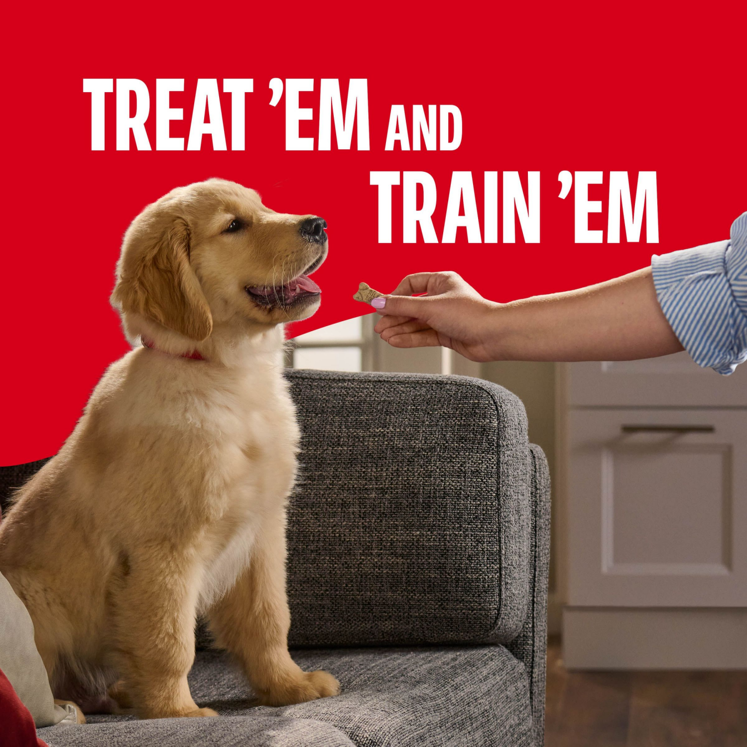 slide 5 of 7, Milk-Bone Puppy Dog Snacks 1 16 oz, 16 oz