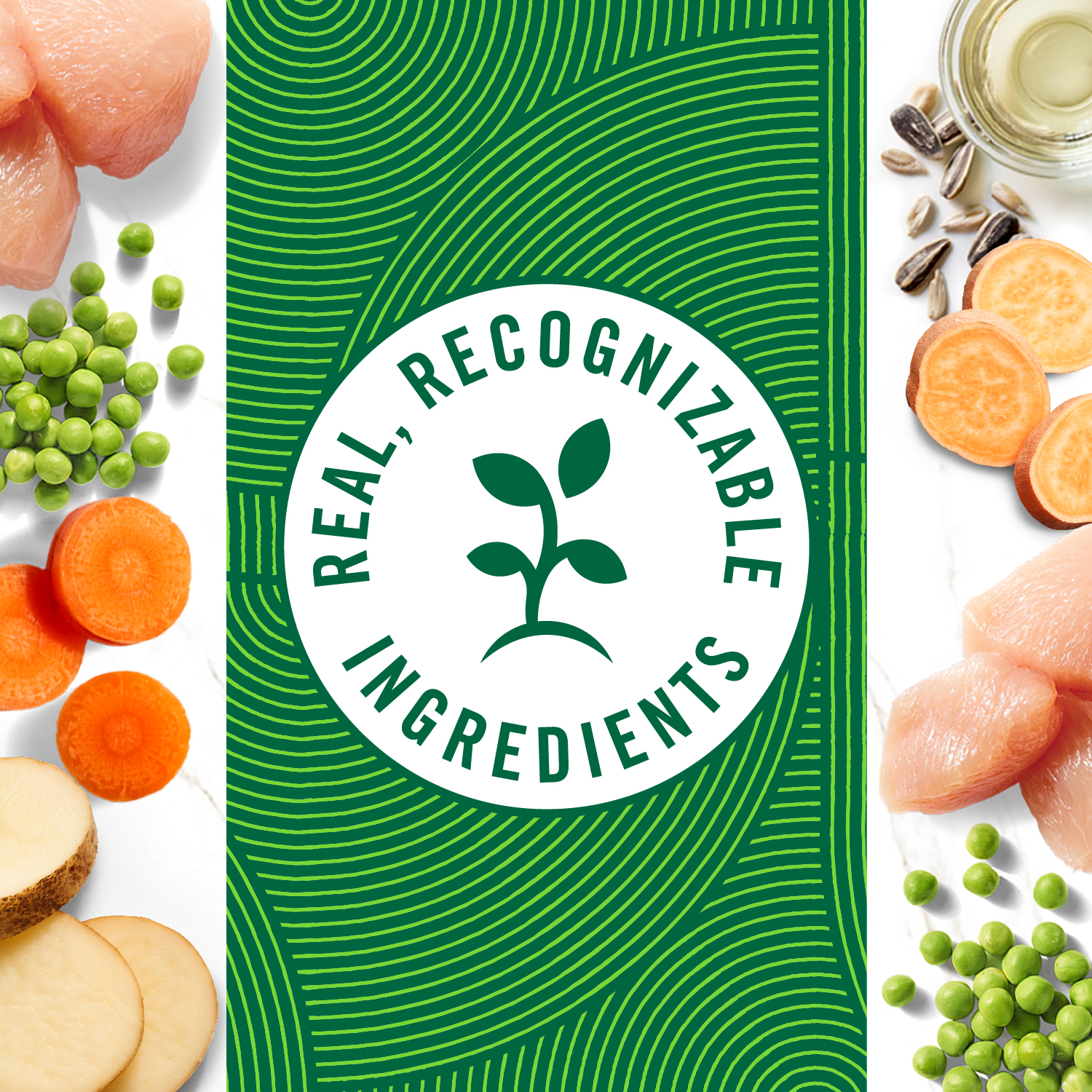 slide 2 of 8, Nutro Premium Loaf Slow Cooked Chicken, Potato Carrot & Pea Recipe Dog Food 12.5 oz, 12.5 oz