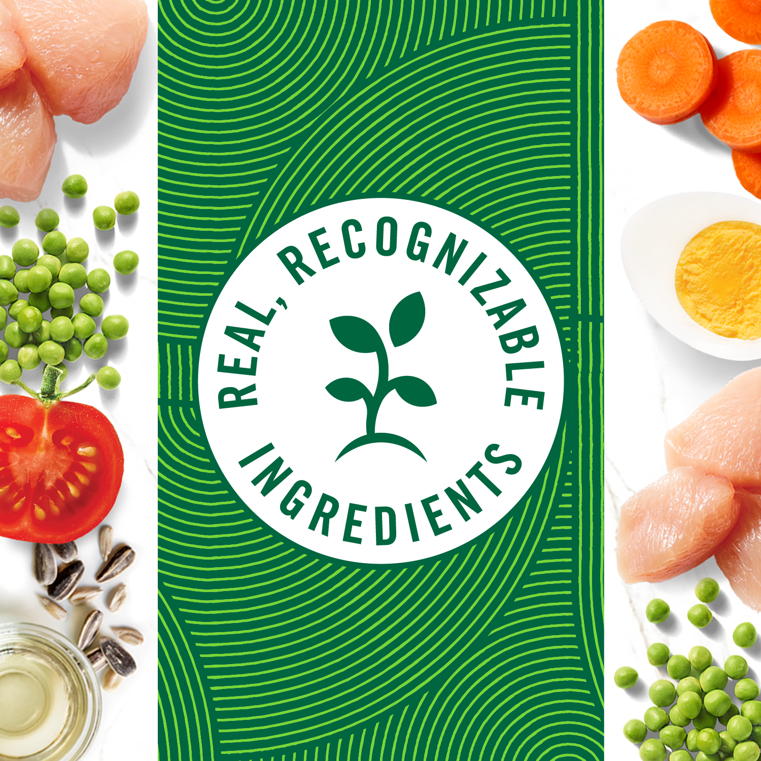 slide 8 of 8, Nutro Hearty Stew Tender Chicken, Carrot & Pea Stew Dog Food 12.5 oz, 12.5 oz