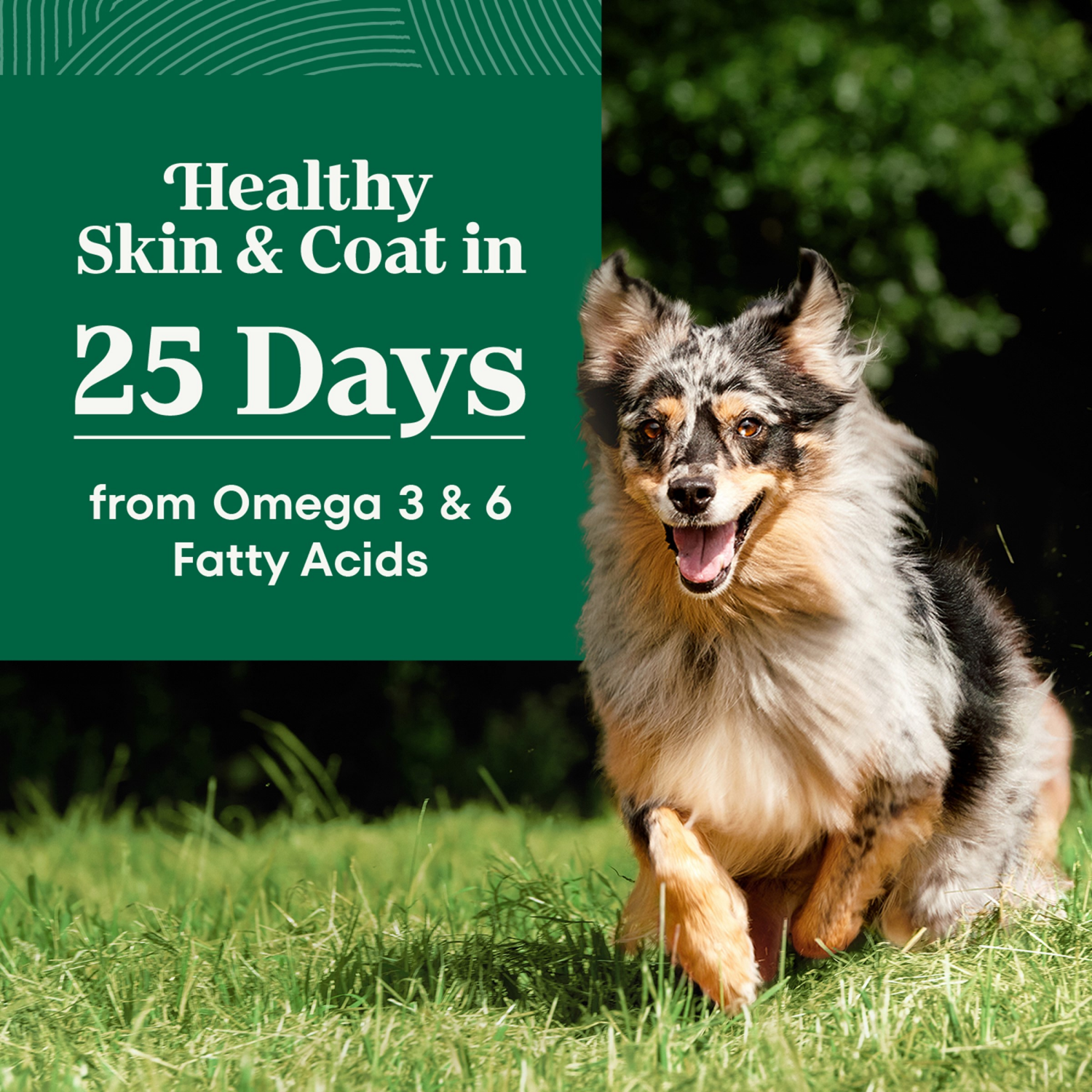 slide 7 of 8, Nutro Natural Choice Natural Adult 1+ Years Healthy Skin & Coat Beef & Brown Rice Recipe Dog Food 4.5 lb, 4.5 lb