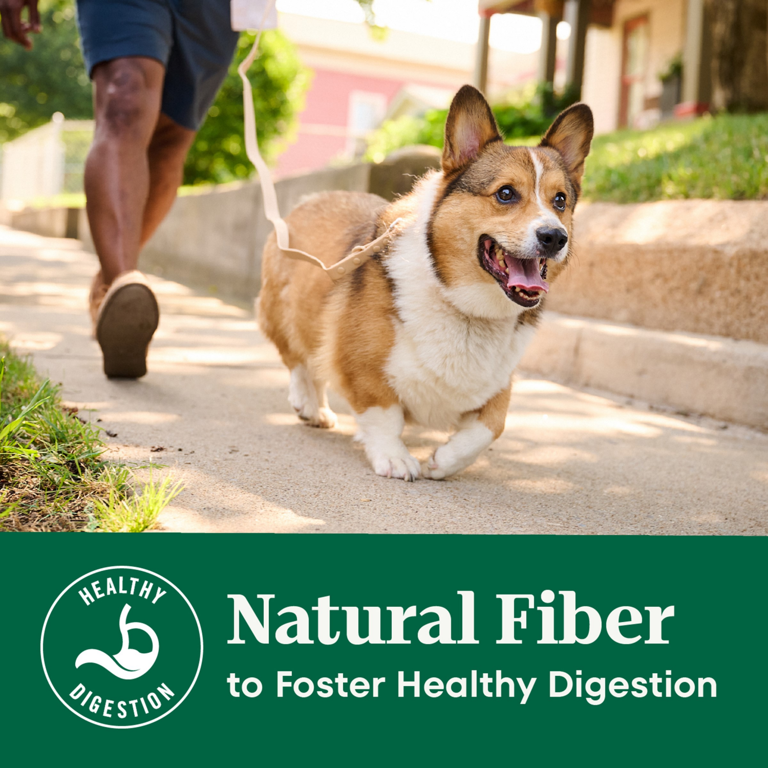 slide 8 of 8, Nutro Natural Choice Natural Adult 1+ Years Healthy Skin & Coat Beef & Brown Rice Recipe Dog Food 4.5 lb, 4.5 lb