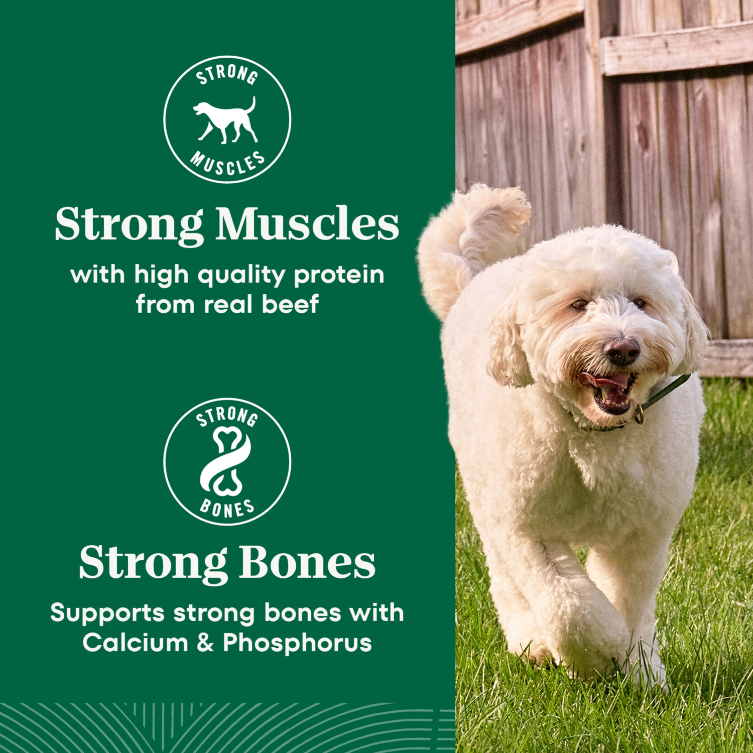 slide 5 of 8, Nutro Natural Choice Natural Adult 1+ Years Beef & Brown Rice Recipe Dog Food 28 lb, 28 lb