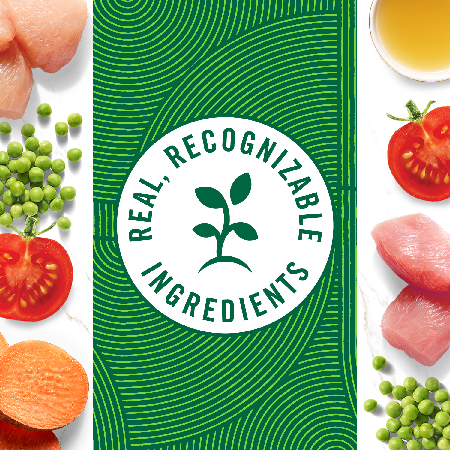 slide 8 of 8, Nutro Grain Free Cuts in Gravy Tender Chicken Sweet Potato & Pea Stew/Roasted Turkey, Potato & Pea Stew Dog Food 12 - 100 g Trays, 12 ct