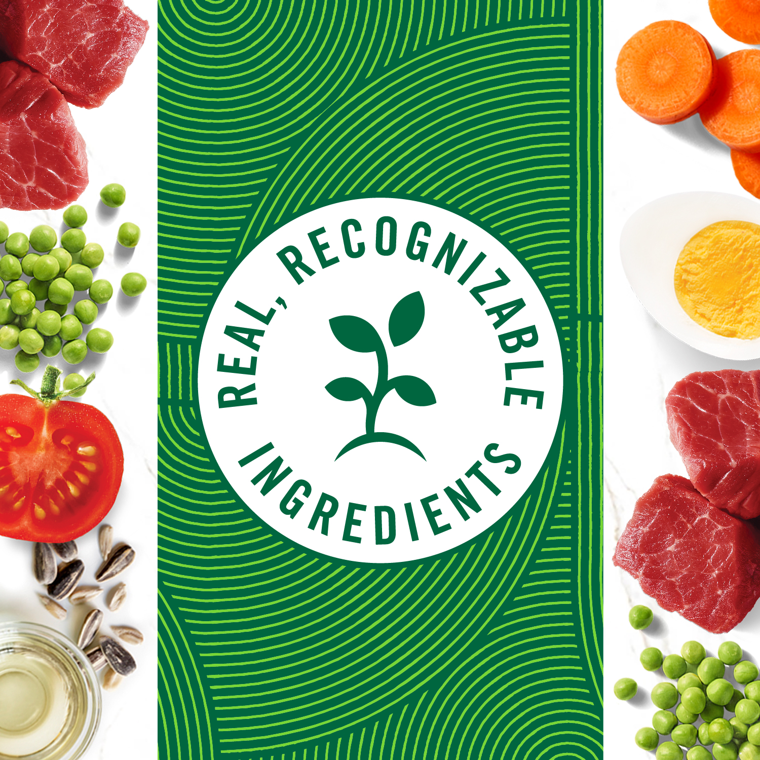 slide 8 of 8, Nutro Hearty Stew Premium Chunky Beef, Tomato, Carrot & Pea Stew Dog Food 12.5 oz, 12.5 oz