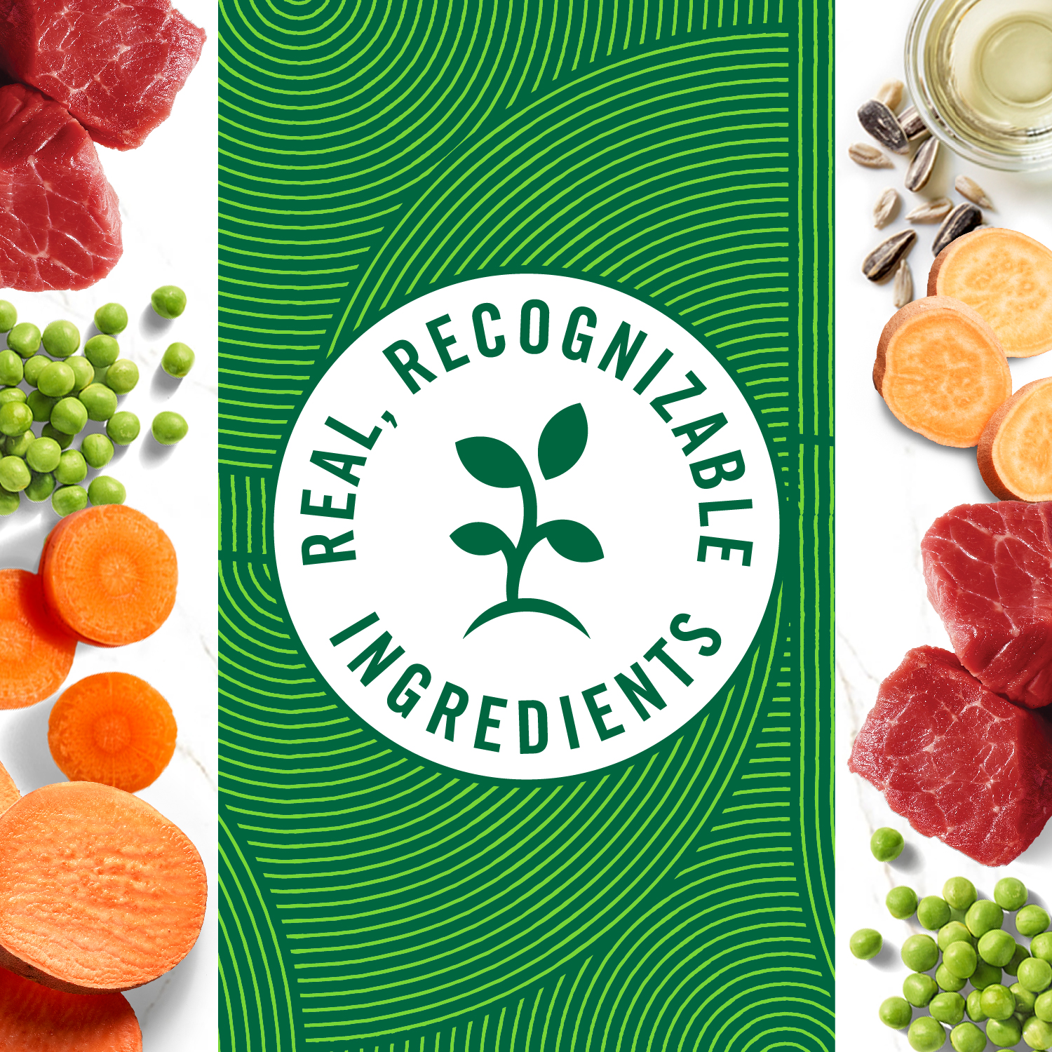 slide 2 of 8, Nutro Premium Loaf Tender Beef, Sweet Potato & Carrot Recipe Dog Food 12.5 oz, 12.50 oz