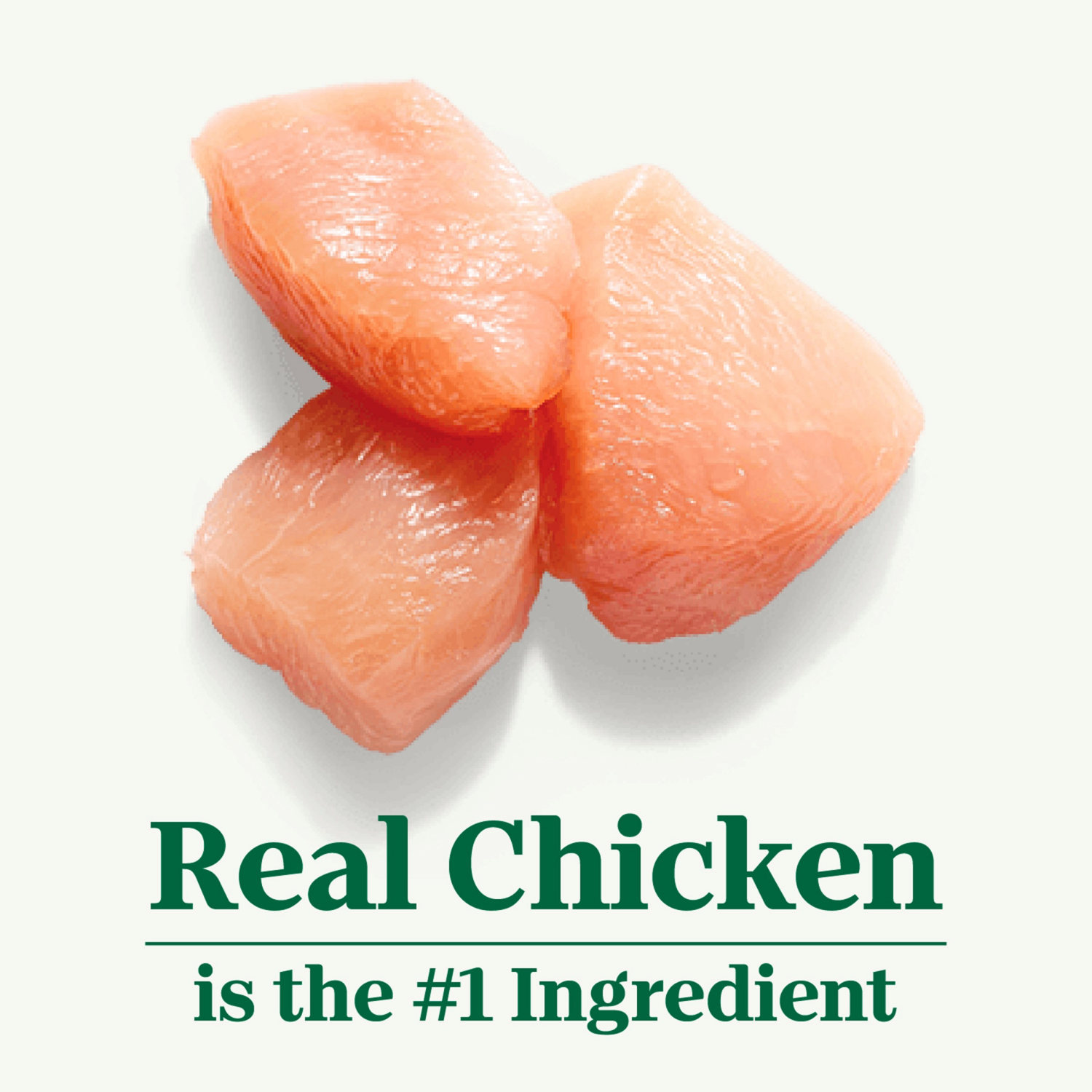 slide 7 of 8, Nutro Wholesome Essentials Adult 1+ Years Chicken & Brown Rice Recipe Cat Food 5 lb, 5 lb